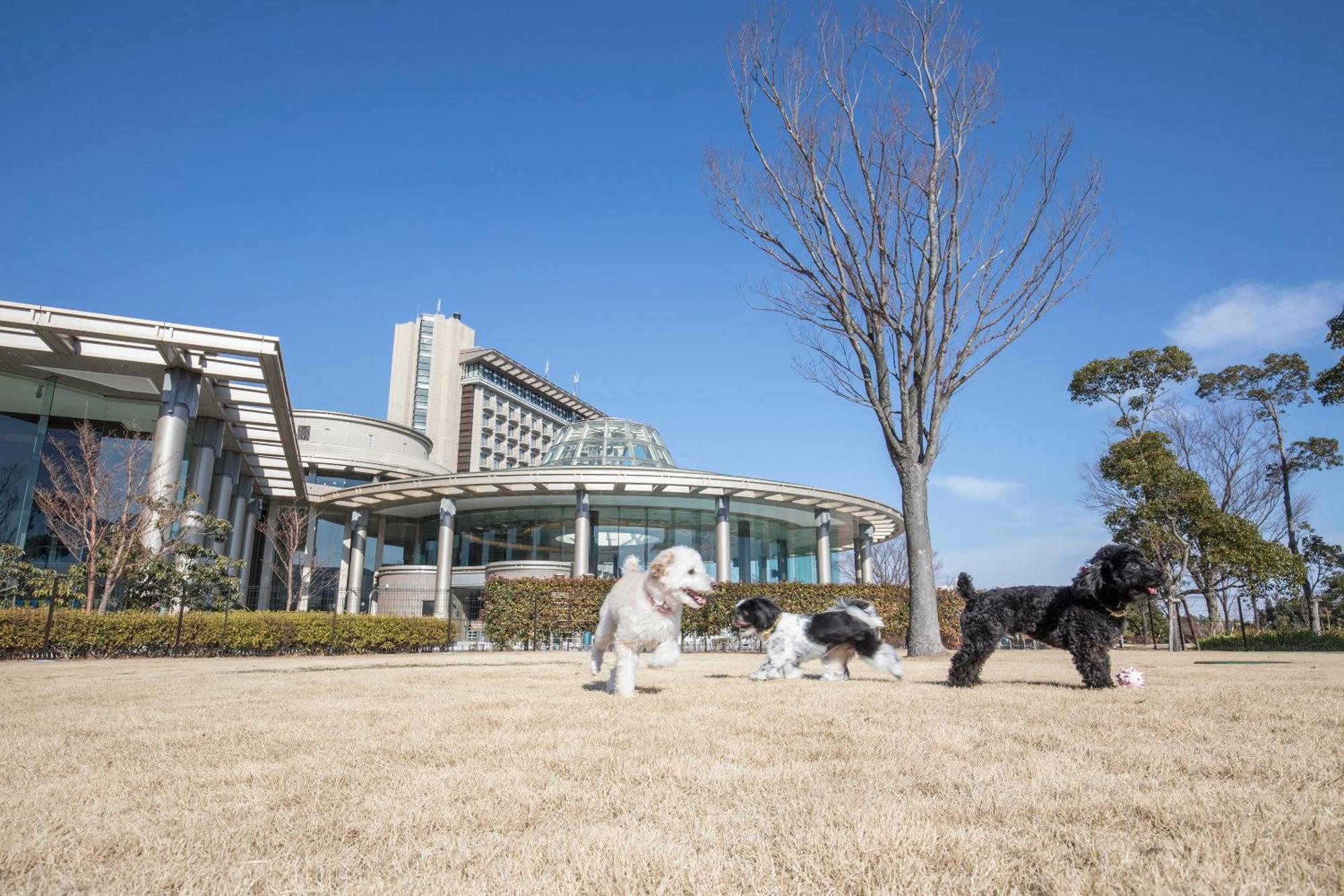 Hilton Odawara Resort & Spa Ngoại thất bức ảnh